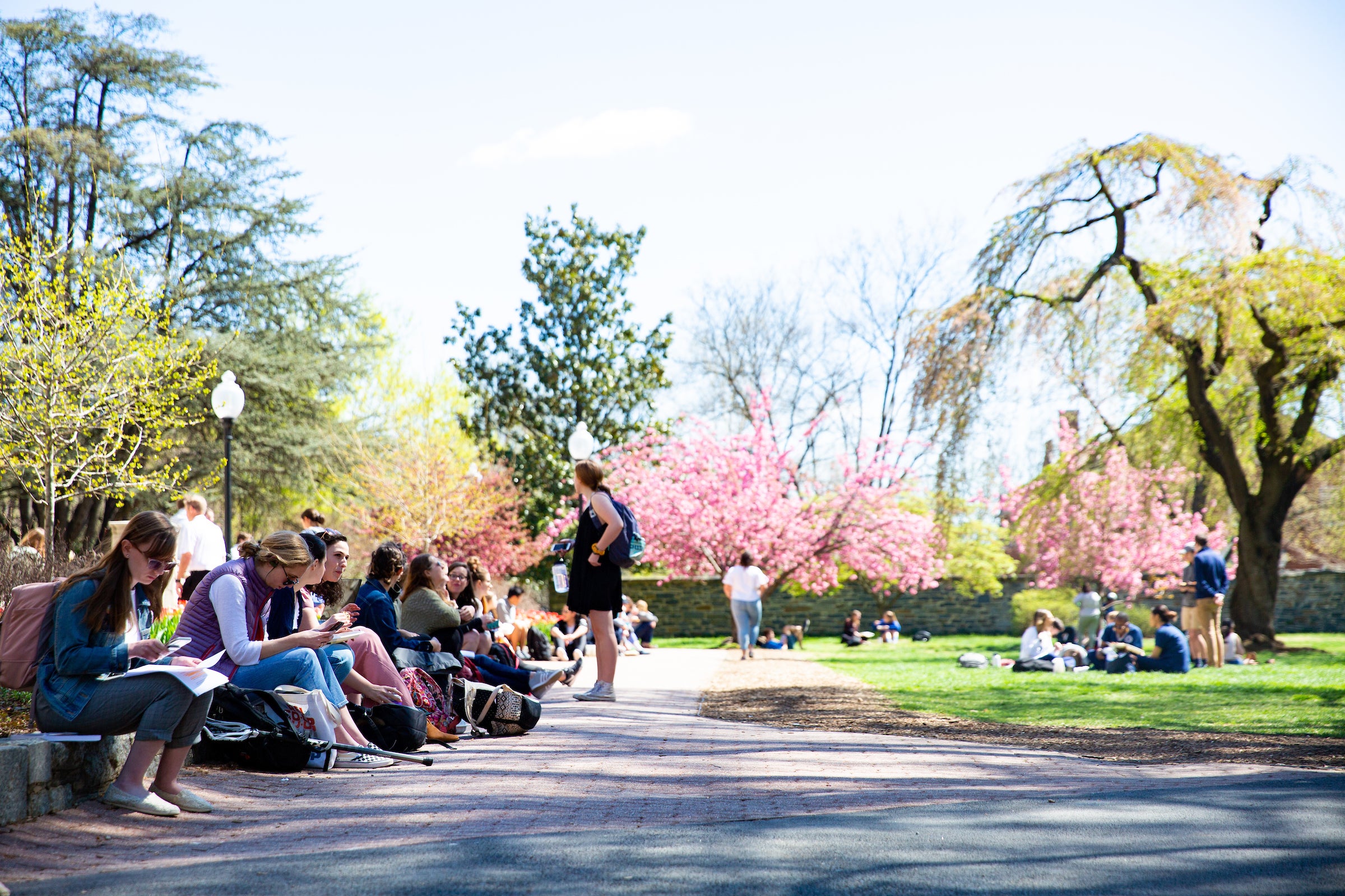 Campus with student